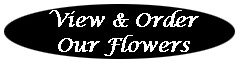 View and Order Our Flowers
